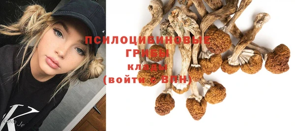 MDMA Premium VHQ Алзамай