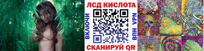 Наркотические марки 1,8мг  Спасск-Рязанский 